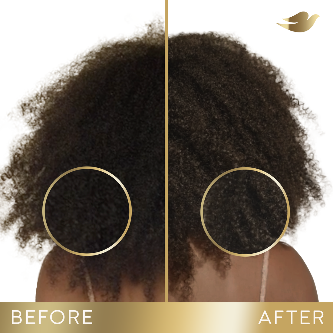 Dove Hair Mask