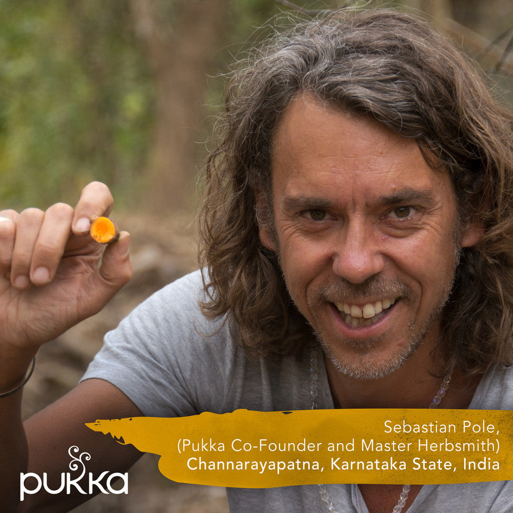 Pukka Wellness Tea