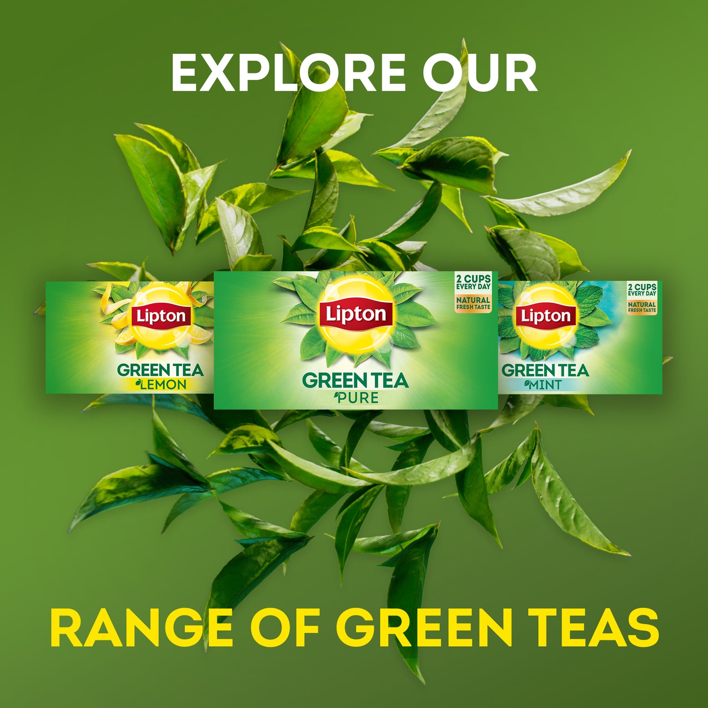 Lipton Green Tea Pure, 50 Envelope Teabags