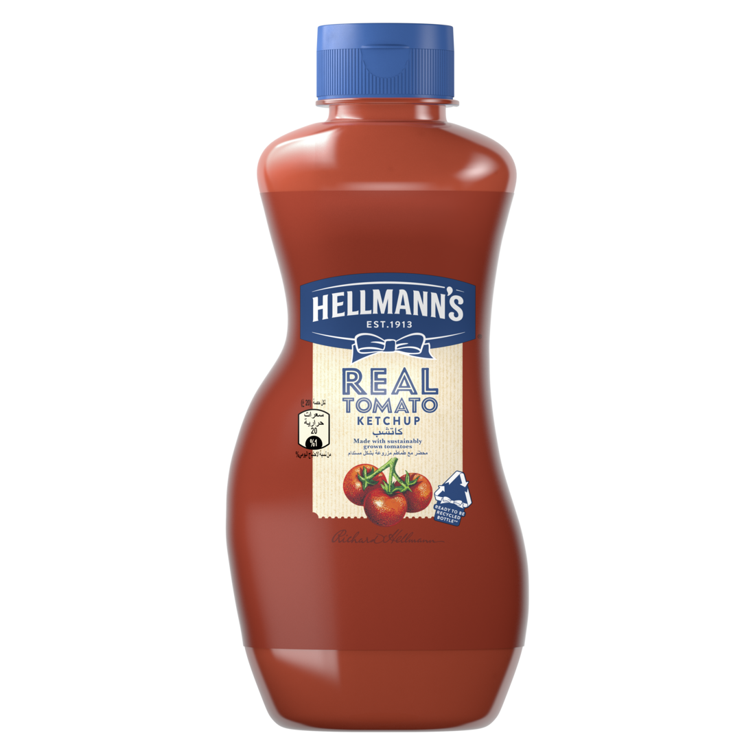 Hellmann's Ketchup