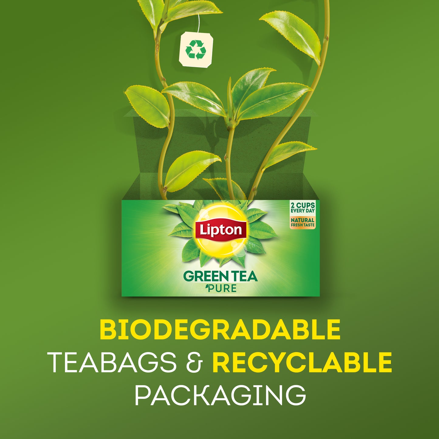 Lipton Green Tea Pure, 25 Envelope Teabags