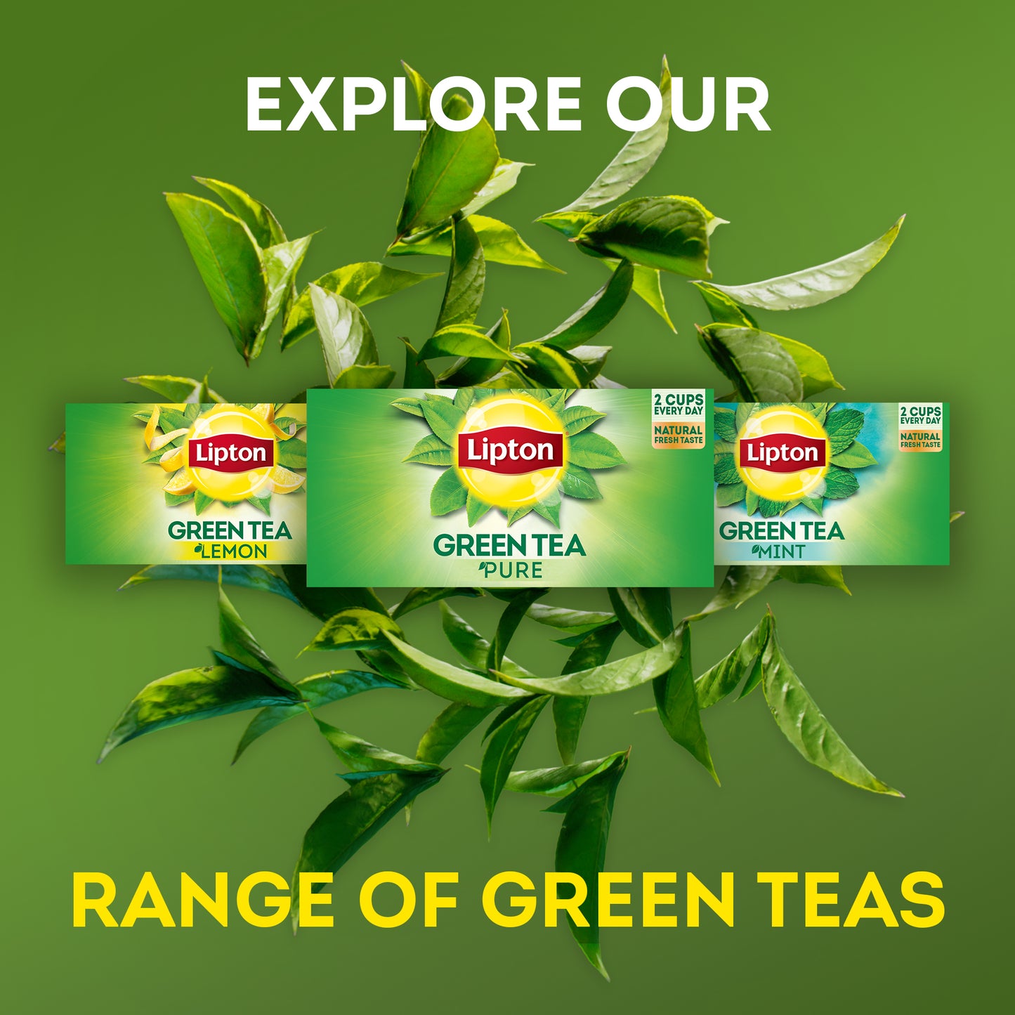 Lipton Green Tea Lemon, 25 Envelope Teabags