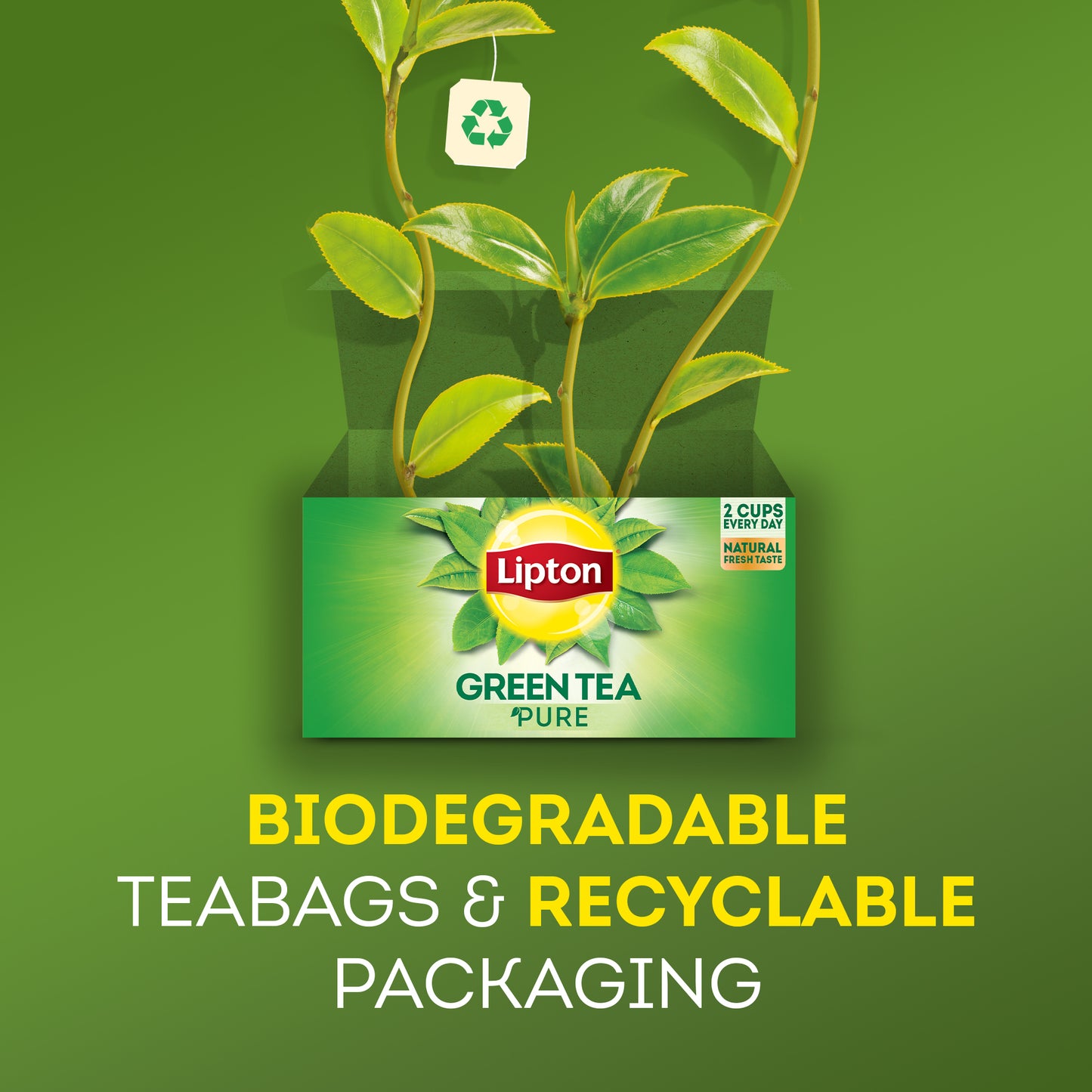 Lipton Green Tea Mint, 50 Envelope Teabags