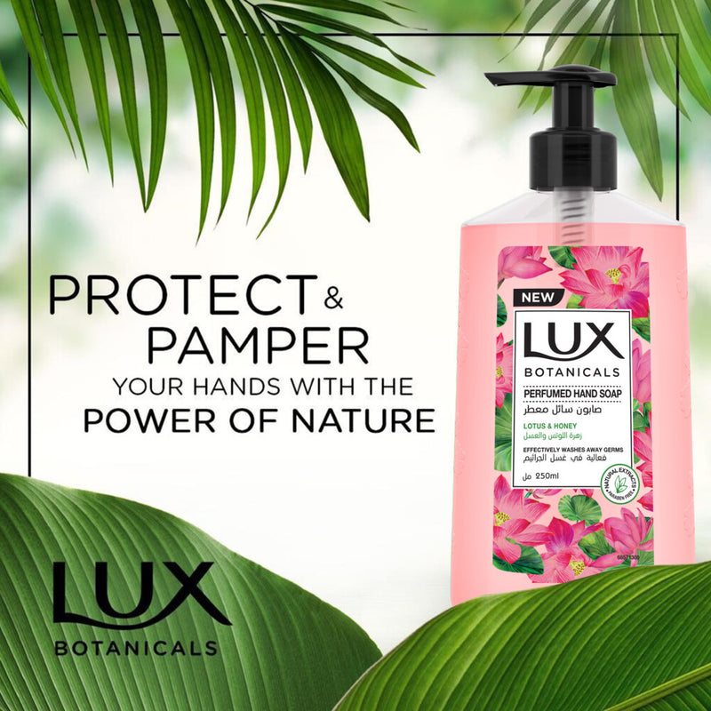 Lux Botanicals Hand Wash