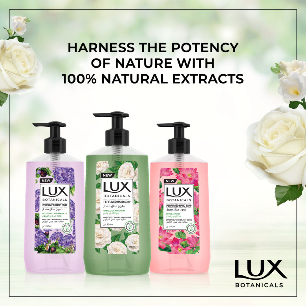 Lux Botanicals Hand Wash