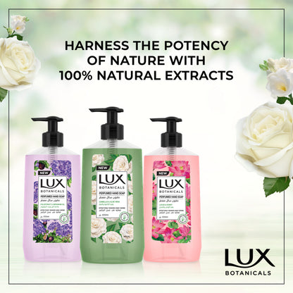 Lux Botanicals Hand Wash